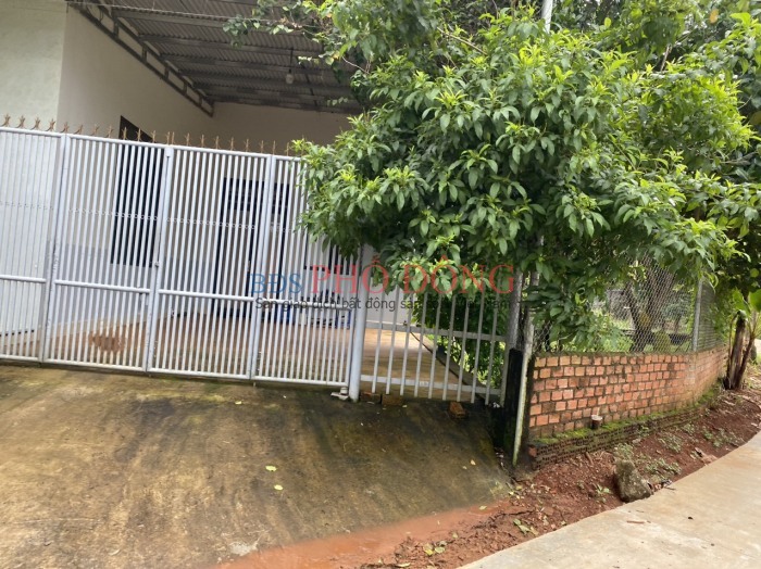 Bán đất vòng xoay Phú Riềng 290 triệu 260m2 sang tên ngay