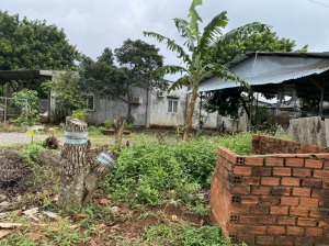 Bán đất vòng xoay Phú Riềng 290 triệu 260m2 sang tên ngay