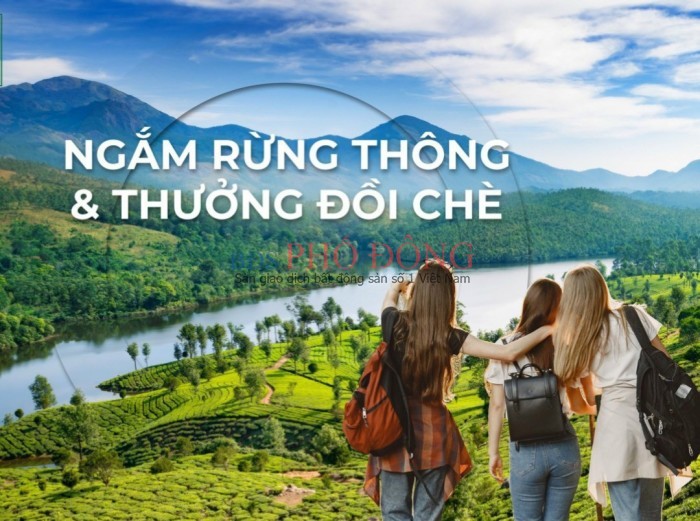 Bán Đất Thổ Cư Xã Đam Bri , Bảo Lộc , Lâm Đồng