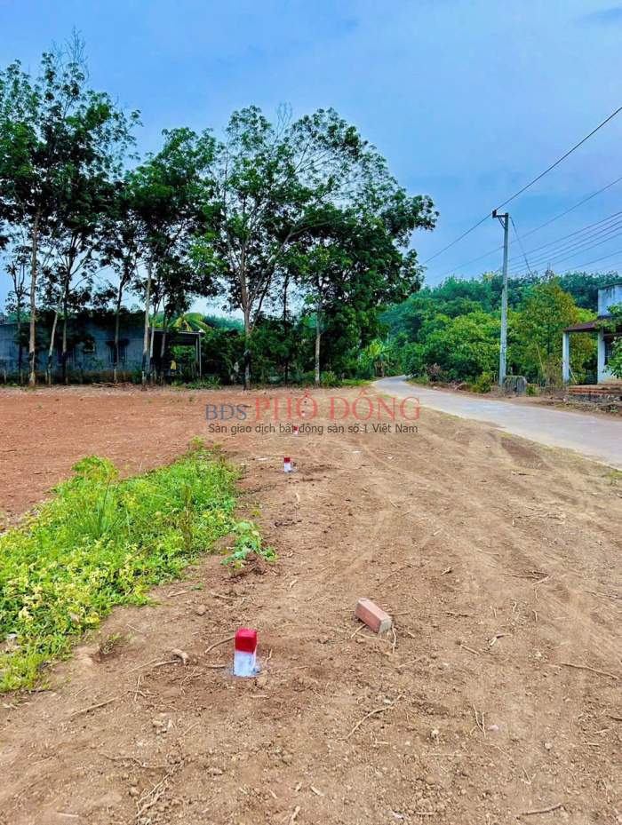 Bán lô đất 262m2 giá 290 triệu vòng xoay phú riềng Đồng Nai