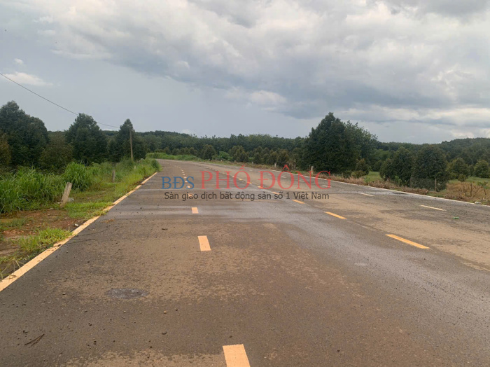 Bán lô đất 262m2 giá 290 triệu vòng xoay phú riềng Đồng Nai