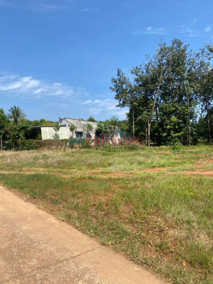 Bán lô đất 262m2 giá 290 triệu vòng xoay phú riềng Đồng Nai