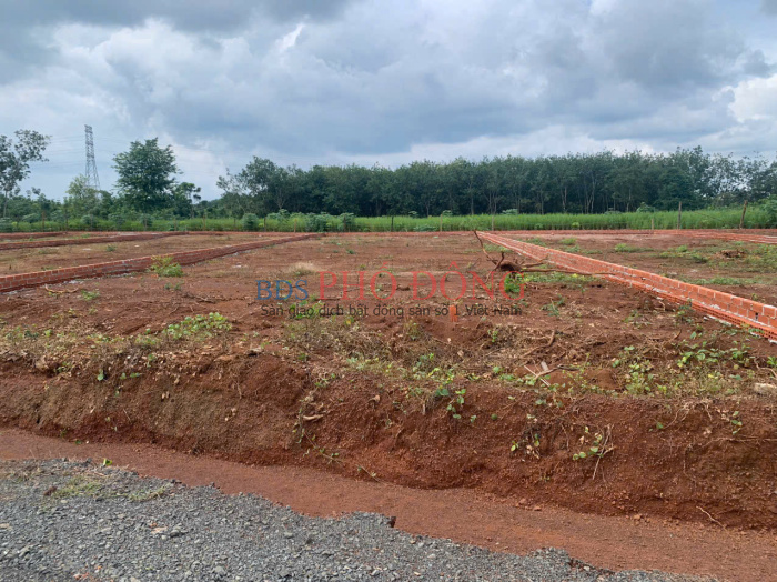 Bán lô đất Phú Riềng 20x49m giá 940 triệu, phù hợp làm nhà vườn, đầu tư dài hạn