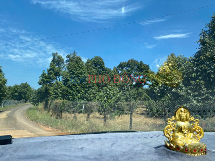 Bán lô đất Phú Riềng 20x49m giá 940 triệu, phù hợp làm nhà vườn, đầu tư dài hạn