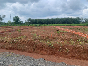 Bán lô đất Phú Riềng 20x49m giá 940 triệu, phù hợp làm nhà vườn, đầu tư dài hạn